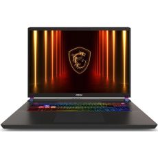 Ноутбук MSI Vector 17 HX AI A2XWJG-062RU 17